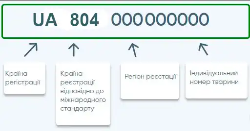 Сканування мікрочіпа у клініці А-Вет Київ Оболонь