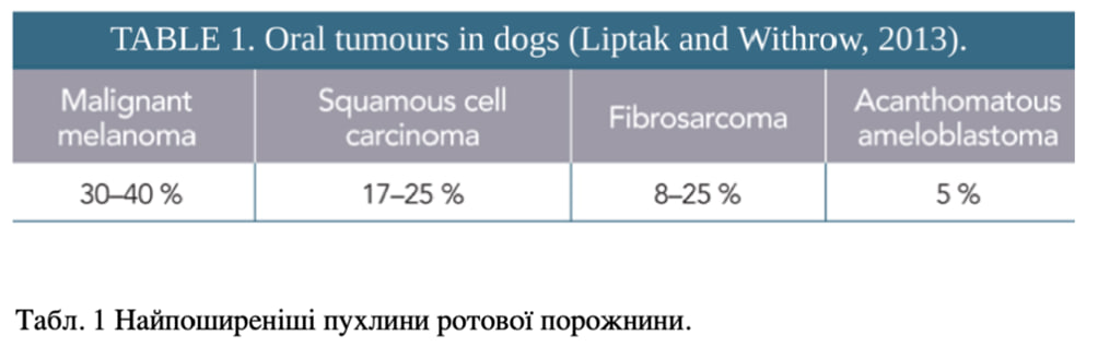 Новообразования ротовой полости у собак и кошек — клинический пример